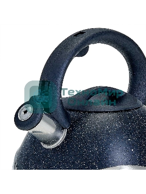 Чайник для плиты со свистком WEBBER BE-0574 3 л черный