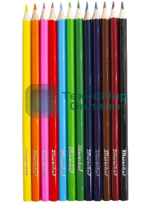 Карандаши цветные Silwerhof Eco 2.65 мм, шестигранный профиль, дерево, ассорти, 12 цветов, коробка с европодвесом