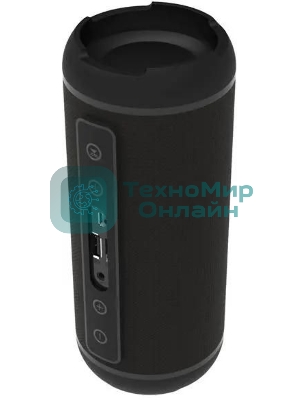 Портативная колонка Ritmix SP-320B черный