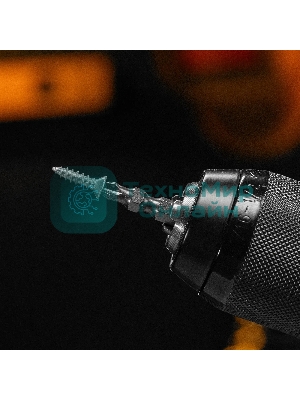 Набор бит Denzel двухстор., PH2-PZ2х45 мм, сталь S2, 10 шт.