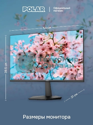 Монитор POLAR P24F12M