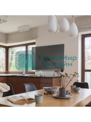 Кронштейн (держатель) ONKRON G150 для телевизора 13