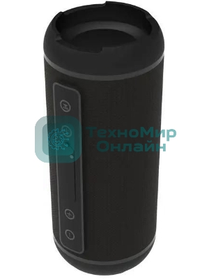 Портативная колонка Ritmix SP-320B черный