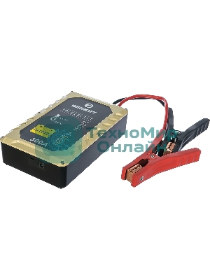 Пуско-зарядное устройство Berkut JSC300С