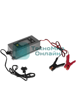 Зарядное устройство Berkut BCA-4