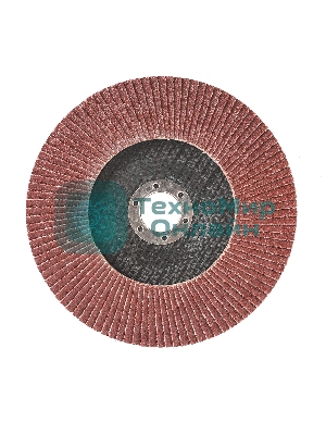 Круг лепестковый торцевой Edge by Patriot 150 ммx22,23 ммxP120