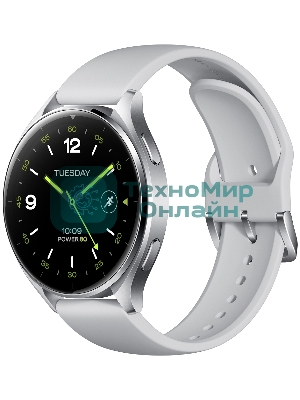 Умные часы Xiaomi Watch 2 Silver Case With Gray TPU Strap M2320W1
