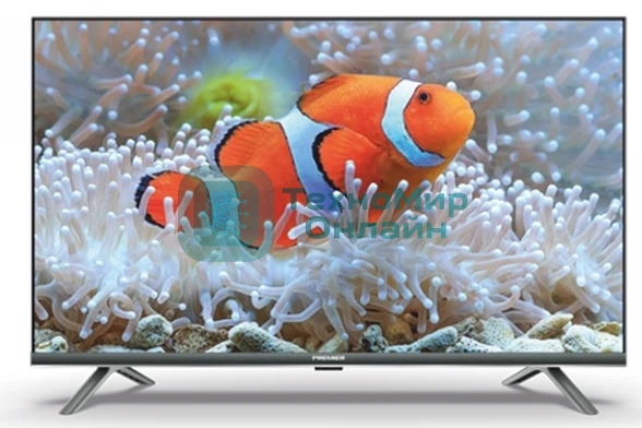 Телевизор PREMIER 55