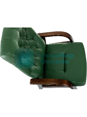 Кресло Бюрократ T-9928WALNUT-CF зеленый, кожа