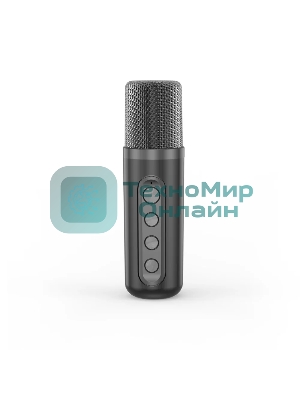 Переносная караоке система TRS2406 iconBIT K702B Колонка 10Вт, 2 микрофона Bluetooth, подсвктка, с аккумулятор в колонке 1500mAh и микрофонах, 16*12*16.7 CM, черный