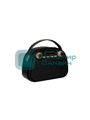 Радиоприемник Ritmix RPR-040 черный