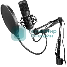 Микрофон проводной Оклик SM-600G 2.5м черный