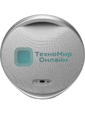 Портативная акустика Harman Kardon HKOS9GRYUK серый