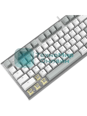 Клавиатура проводная A4Tech Fstyler FS100 Neon, USB, серый/белый