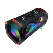 Акустическая колонка Eltronic DANCE BOX 900 - колонка 06