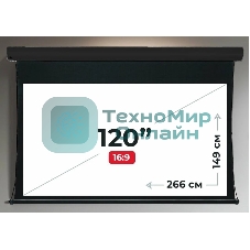 Экран для проектора S'OK Apollo SGPSMT-266x149A бокового натяжения, звукопрозрачный, белый к