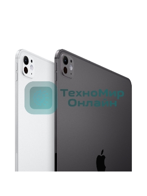 Планшет Apple iPad Pro 2024 A2837 11
