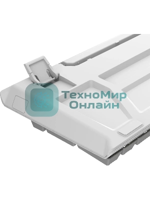 Клавиатура проводная A4Tech Fstyler FS100 Neon, USB, серый/белый