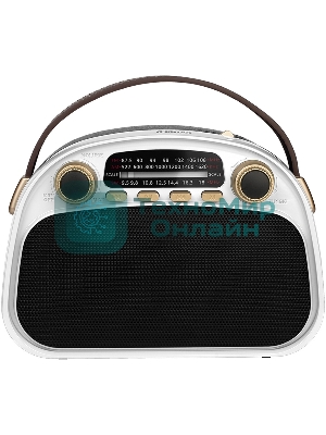 Радиоприемник Ritmix RPR-040 белый
