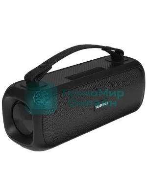 Портативная аудиосистема Telefunken TF-PS1281B (черный)