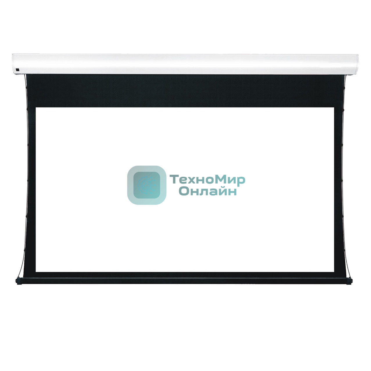 Экран для проектора S'OK Apollo SGPSMT-294x166A бокового натяжения, звукопрозрачный, белый к