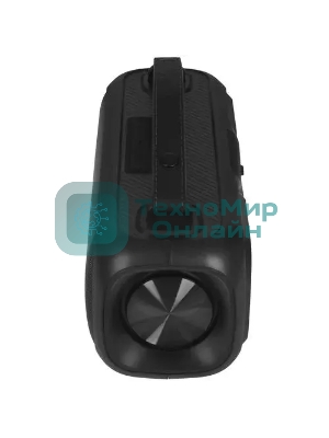 Портативная аудиосистема Telefunken TF-PS1281B (черный)