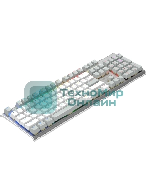 Клавиатура проводная A4Tech Fstyler FS100 Neon, USB, серый/белый