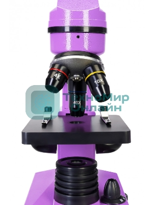 Микроскоп Levenhuk RAINBOW 2L AMETHYST/Аметист Микроскоп с предметным столиком, трехгнездным револьвером, фокусировочным механизмом, двумя источниками света с регулировкой яркости Монокулярная насадка Объективы: 4х, 10х, 40х, Увеличение микроскопа: 64-640x