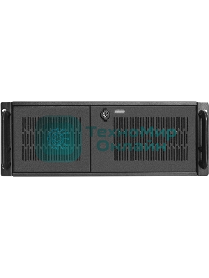 Серверная платформа ExeGate Pro 4U650-010/4U4139L RM 19