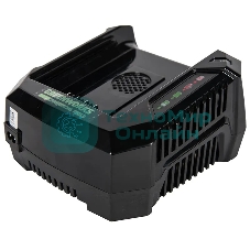 Зарядное устройство Greenworks 291470782В