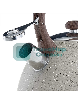 Чайник ALPENKOK AK-533 3 л