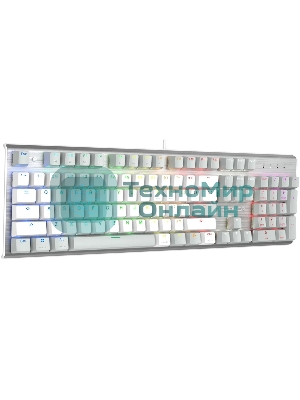 Клавиатура проводная A4Tech Fstyler FS100 Neon, USB, серый/белый