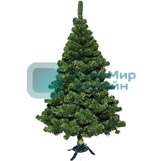 Ель Сибирская 1,8 м 0118