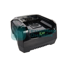Зарядное устройство Greenworks 291470782В