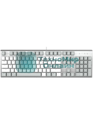Клавиатура проводная A4Tech Fstyler FS100 Neon, USB, серый/белый