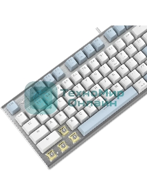 Клавиатура проводная A4Tech Fstyler FS100 Neon, USB, синий/белый