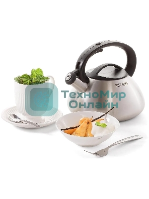 Чайник металлический Rondell Krafter RDS-1607 3 л, стальной