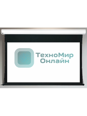 Экран для проектора S'OK Apollo SGPSMT-323x202A бокового натяжения, звукопрозрачный, белый к