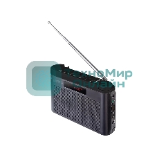 Радиоприемник PERFEO (PF_D0569) ТАЙГА , серый