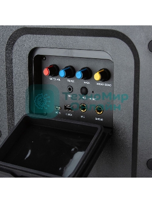 Колонка Eltronic 06