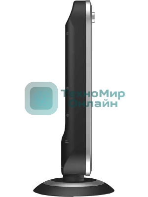 Обогреватель инфракрасный Thermex Espejo ЭдЭБ04307 900Вт серебристый/черный