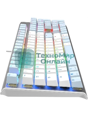 Клавиатура проводная A4Tech Fstyler FS100 Neon, USB, синий/белый