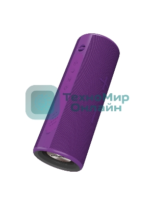 Портативная колонка Soundmax SM-PS5024B(фиолетовый)