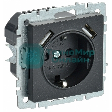 Розетка 1-местная IEK BRITE РЮш10-1-БрЧ (BR-R14-16-U21-D21-K02) 16А, с USB A+A 2.1А, с заземлением с защитными шторками, черный