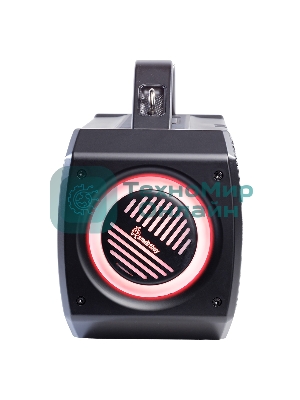 Портативная колонка Smartbuy FLYER черный