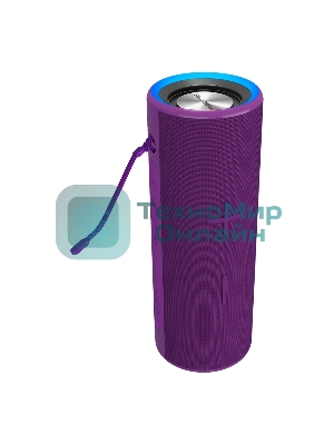 Портативная колонка Soundmax SM-PS5024B(фиолетовый)