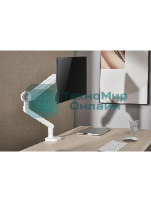 Кронштейн для мониторов Ultramounts UM719W белый 17