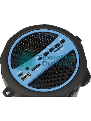 Колонка портативная Hyundai H-PAC220 черный/голубой 10W 1.0 BT/3.5Jack/USB