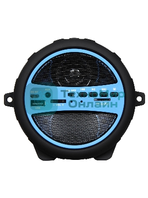 Колонка портативная Hyundai H-PAC220 черный/голубой 10W 1.0 BT/3.5Jack/USB