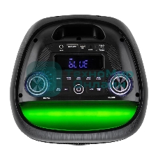 Колонка Eltronic 08